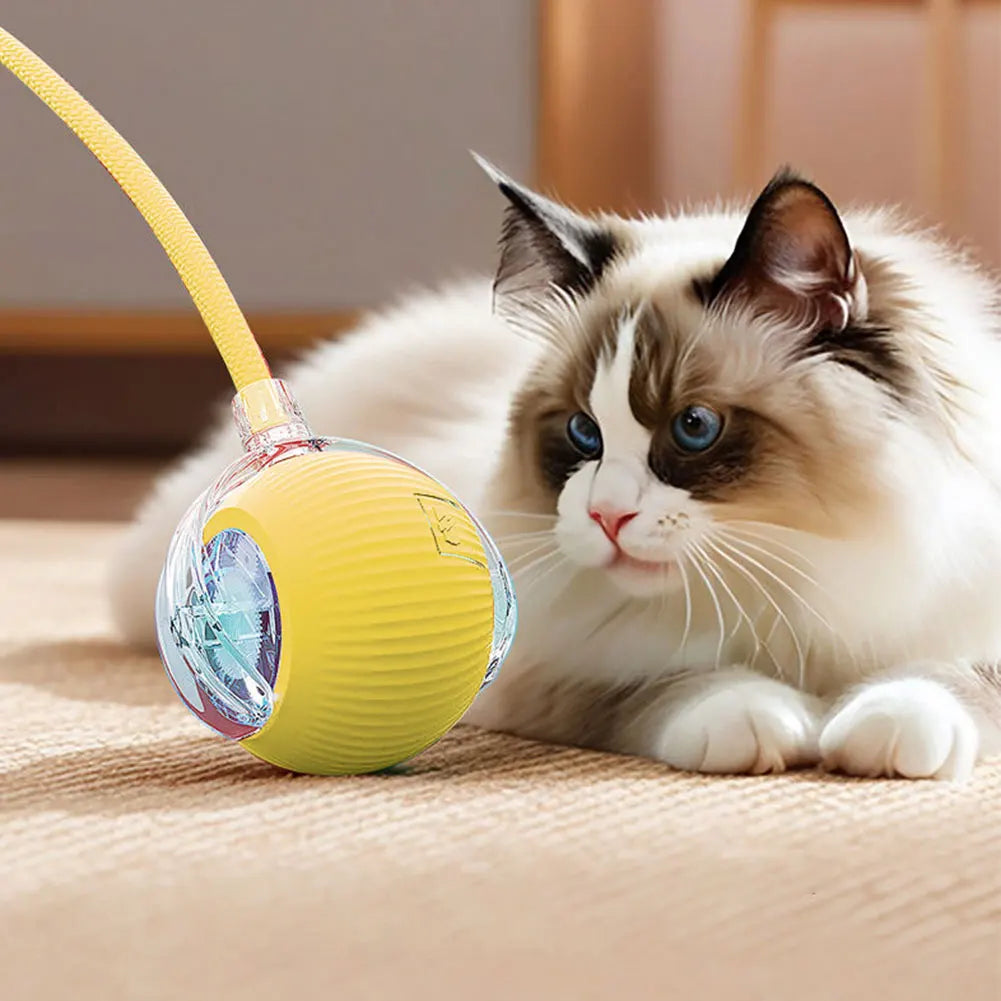 Interactive Cat Toy Ball USB Rechargeable Automatic Rolling Ball Funny Cat Toys Anti-Depression Pet Toy for Indoor Cat Kitten